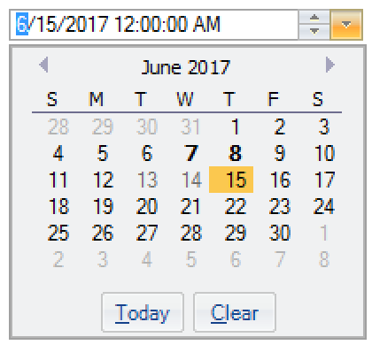 DateEditor for WinForms
