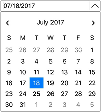 Xamarin Input Control - Xamarin  Calendar
