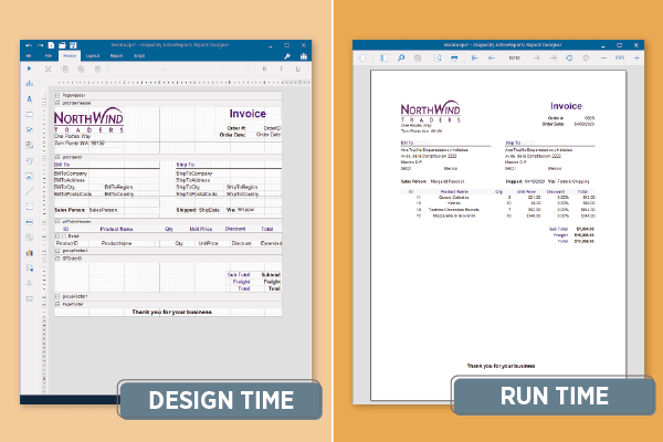 .NET Section Reports Design Time Run Time