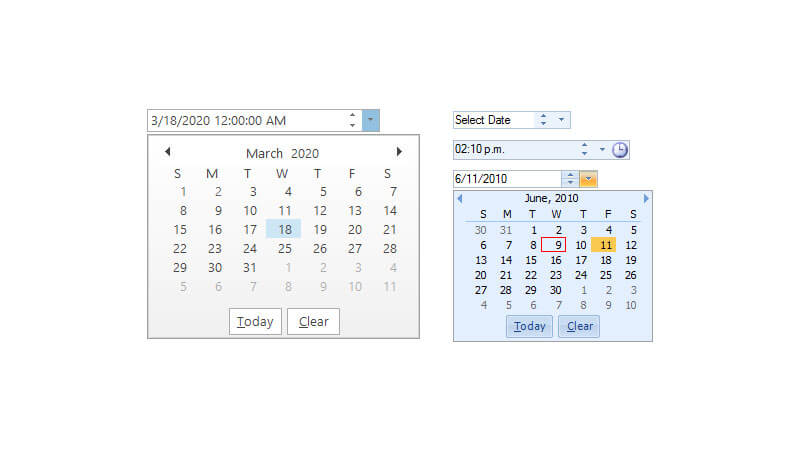 .NET Input Control Date and Time Input