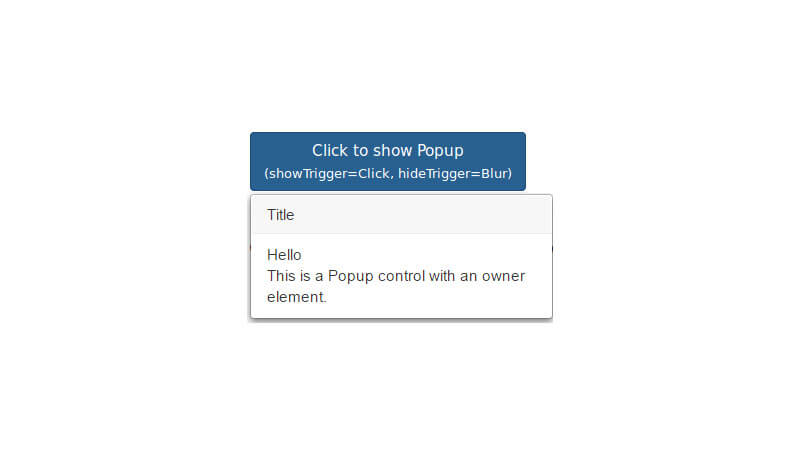.NET Input Control: PopUp