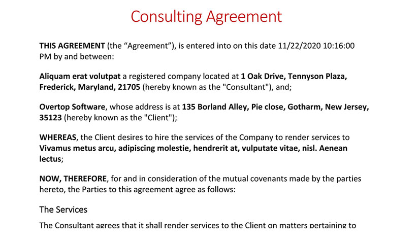 Consulting Agreements
